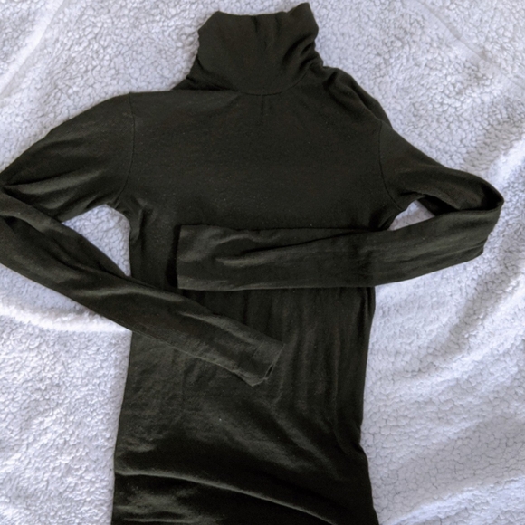 Aritzia Wilfred Green Turtleneck